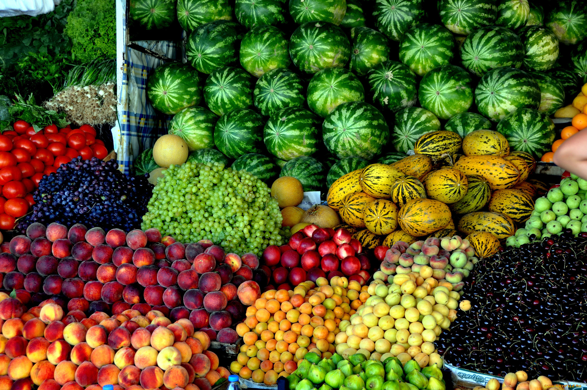 Фрукты ташкента. Фрукты. Узбекские фрукты. Узбекские фрукты и овощи. Фрукты Арбуз.
